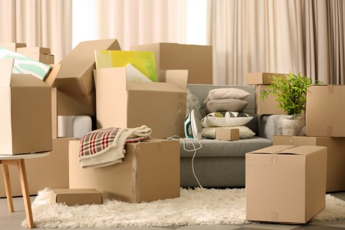 Careful transport of household items by man and van service